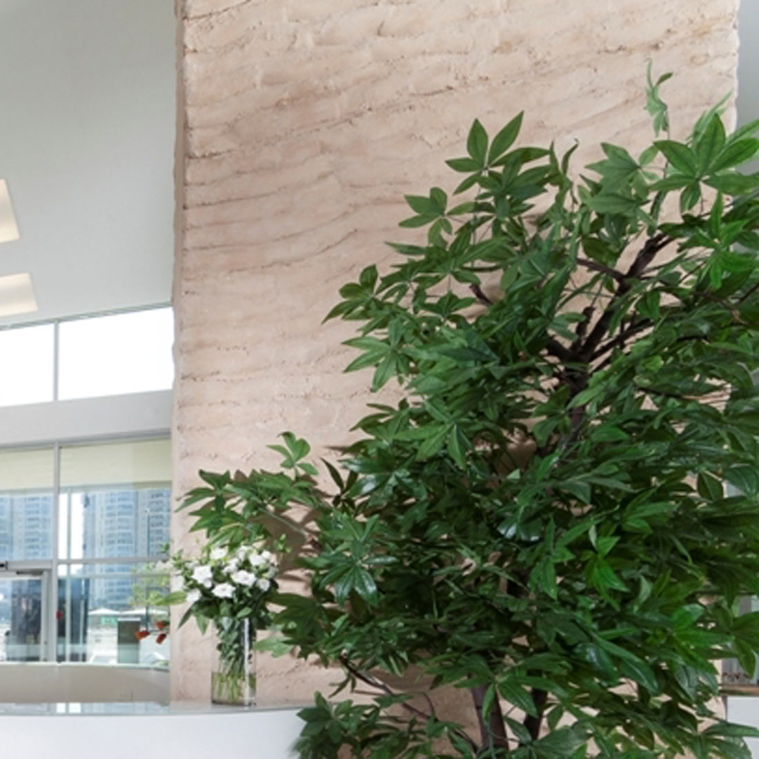 לובי צוקי השמורה