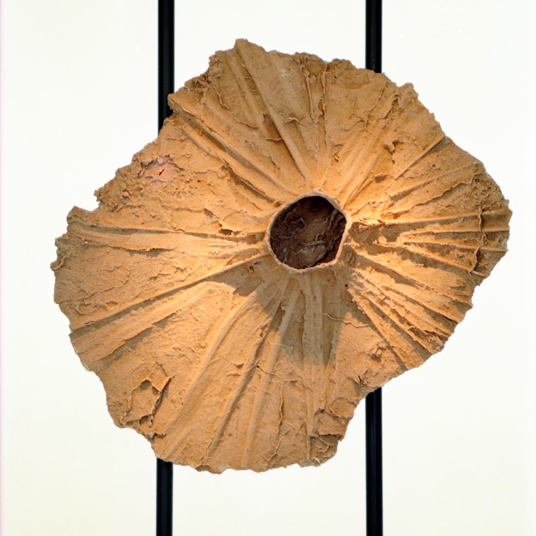 הילטון_תל_אביב_פואיה_של_אולם_אירועים