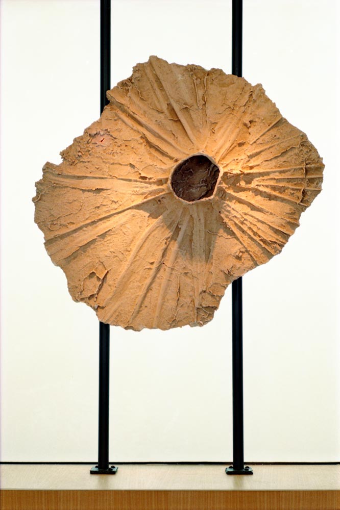 הילטון_תל_אביב_פואיה_של_אולם_אירועים2