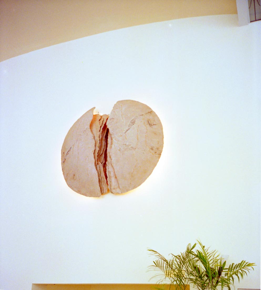 בית מלון לאונרדו3