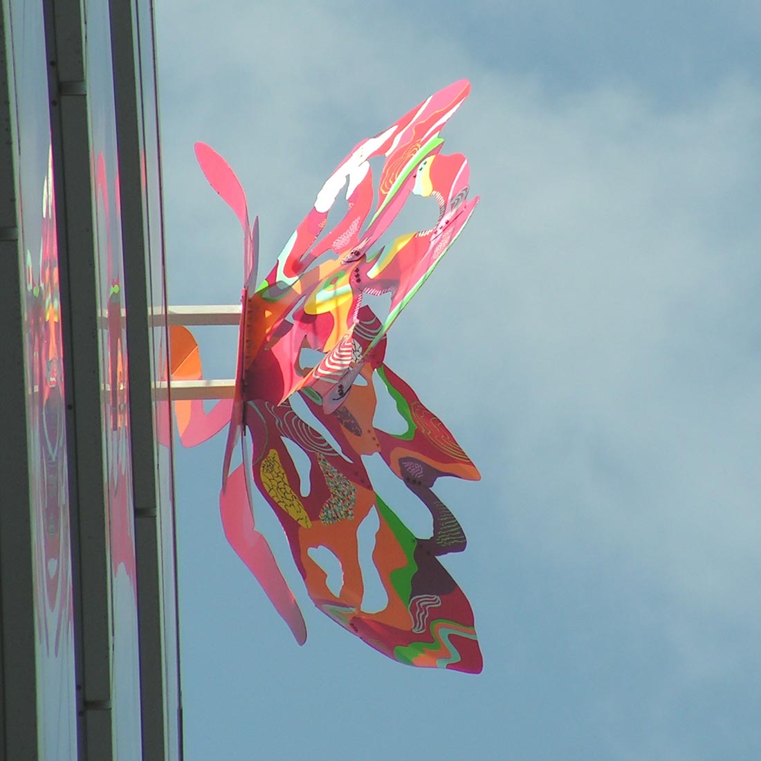 סנגולרוס אדום