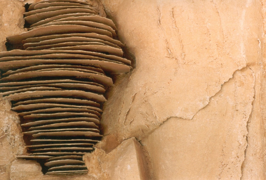 Wall sculpture detail 2