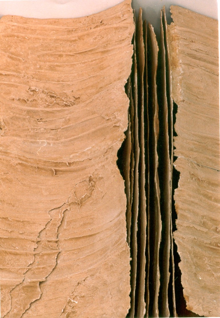 wall sculpture detail 1