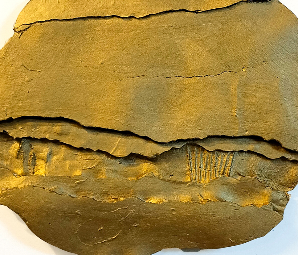 מטבע 2 במסגרת 60 על 60 תקריב